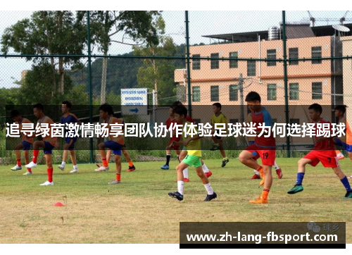 追寻绿茵激情畅享团队协作体验足球迷为何选择踢球