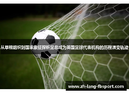从草根组织到国家象征探析足总成为英国足球代表机构的历程演变轨迹