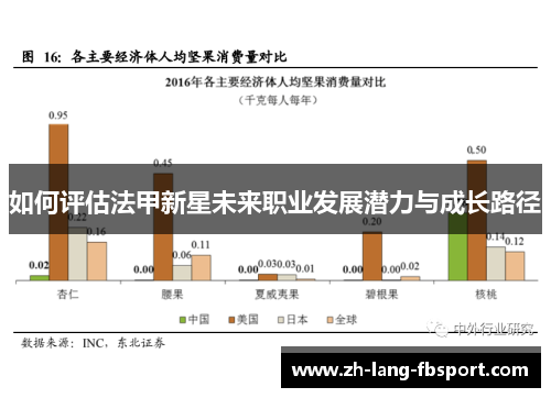 如何评估法甲新星未来职业发展潜力与成长路径