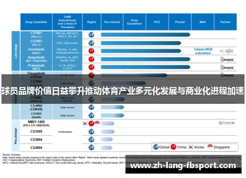 球员品牌价值日益攀升推动体育产业多元化发展与商业化进程加速